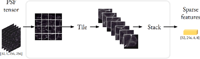 Figure 2 for Towards Physics-informed Cyclic Adversarial Multi-PSF Lensless Imaging