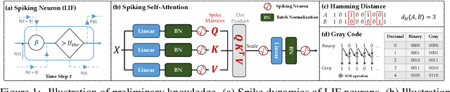 Figure 1 for Toward Relative Positional Encoding in Spiking Transformers
