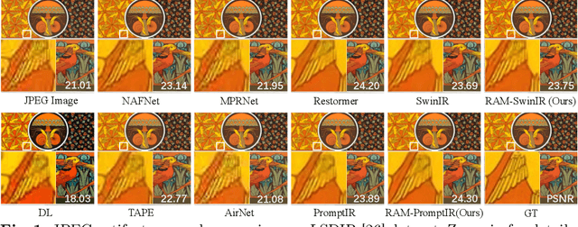 Figure 3 for Restore Anything with Masks: Leveraging Mask Image Modeling for Blind All-in-One Image Restoration