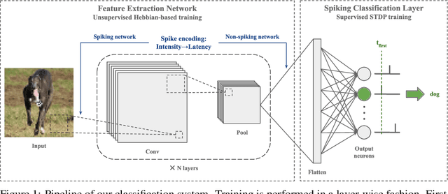 Figure 1 for Neuronal Competition Groups with Supervised STDP for Spike-Based Classification