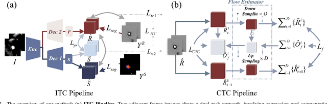 Figure 2 for An Intra- and Cross-frame Topological Consistency Scheme for Semi-supervised Atherosclerotic Coronary Plaque Segmentation