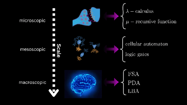 Figure 4 for The Origin of Information Handling