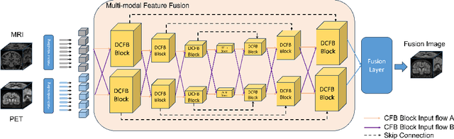 Figure 1 for Three-Dimensional Medical Image Fusion with Deformable Cross-Attention