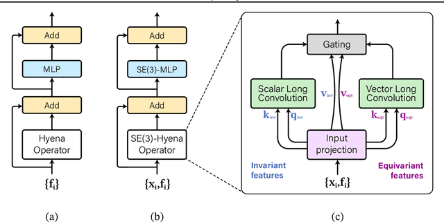 Figure 3 for SE(3)-Hyena Operator for Scalable Equivariant Learning