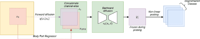 Figure 1 for Medical Semantic Segmentation with Diffusion Pretrain