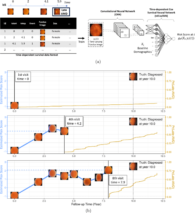 Figure 1 for Dynamic Prediction using Time-Dependent Cox Survival Neural Network