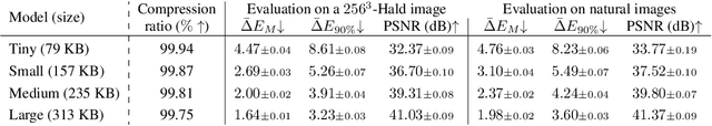 Figure 2 for Efficient Neural Network Encoding for 3D Color Lookup Tables