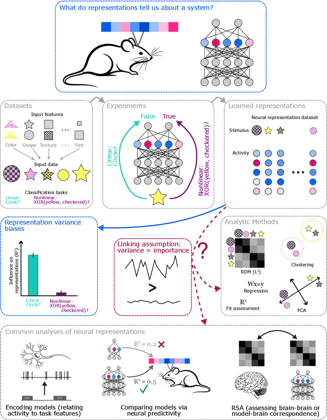 Figure 1 for Representation biases: will we achieve complete understanding by analyzing representations?