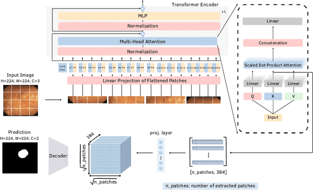 Figure 3 for Unlocking Generalization in Polyp Segmentation with DINO Self-Attention "keys"