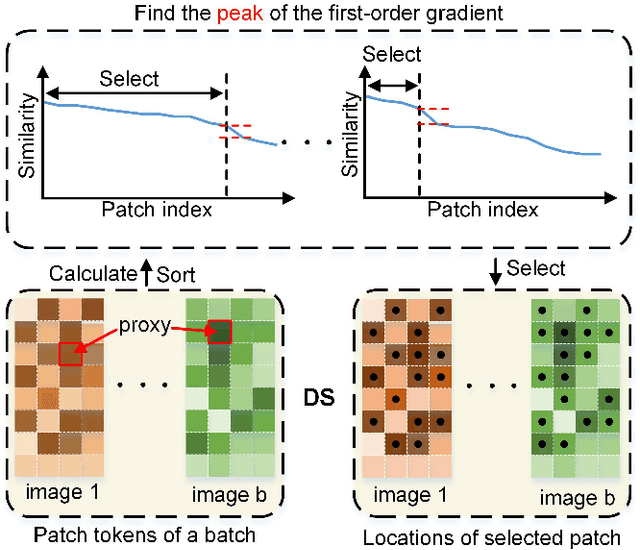 Figure 3 for Dynamic Patch-aware Enrichment Transformer for Occluded Person Re-Identification