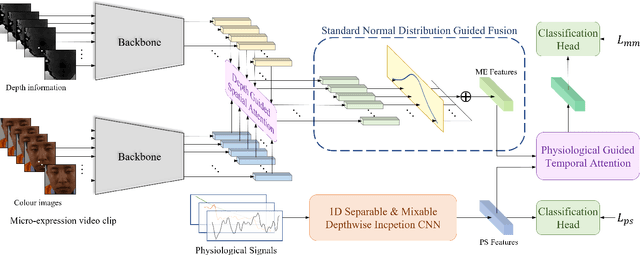 Figure 1 for Multimodal Latent Emotion Recognition from Micro-expression and Physiological Signals