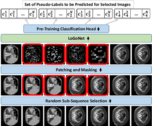 Figure 3 for Masked LoGoNet: Fast and Accurate 3D Image Analysis for Medical Domain