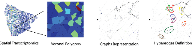 Figure 2 for Hyperedge Representations with Hypergraph Wavelets: Applications to Spatial Transcriptomics