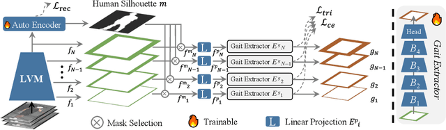 Figure 3 for BiggerGait: Unlocking Gait Recognition with Layer-wise Representations from Large Vision Models