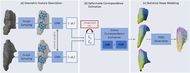 Figure 1 for S3M: Scalable Statistical Shape Modeling through Unsupervised Correspondences