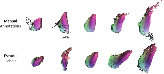 Figure 4 for S3M: Scalable Statistical Shape Modeling through Unsupervised Correspondences