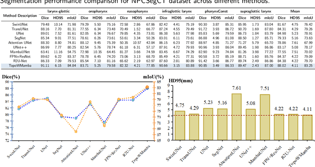 Figure 2 for Topology-Aware Wavelet Mamba for Airway Structure Segmentation in Postoperative Recurrent Nasopharyngeal Carcinoma CT Scans
