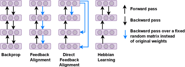 Figure 1 for Is Bio-Inspired Learning Better than Backprop? Benchmarking Bio Learning vs. Backprop