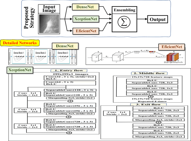 Figure 1 for Ensemble CNNs for Breast Tumor Classification