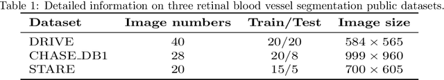 Figure 2 for WMKA-Net: A Weighted Multi-Kernel Attention NetworkMethod for Retinal Vessel Segmentation