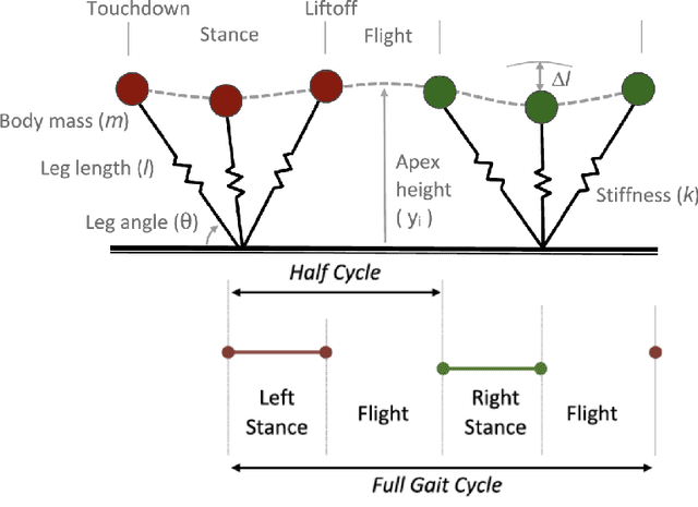 Figure 1 for The Study of Complex Human Locomotion Behaviors: From Crawling to Walking