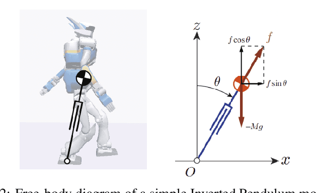 Figure 2 for The Study of Complex Human Locomotion Behaviors: From Crawling to Walking
