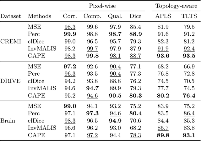 Figure 2 for CAPE: Connectivity-Aware Path Enforcement Loss for Curvilinear Structure Delineation