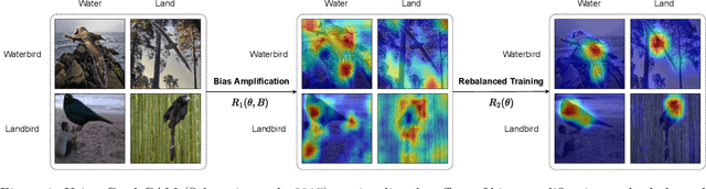 Figure 1 for Bias Amplification Enhances Minority Group Performance