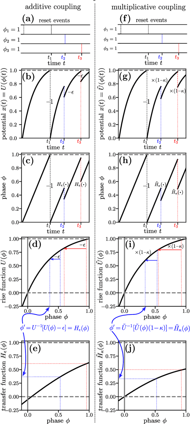 Figure 1 for Equivalence of Additive and Multiplicative Coupling in Spiking Neural Networks