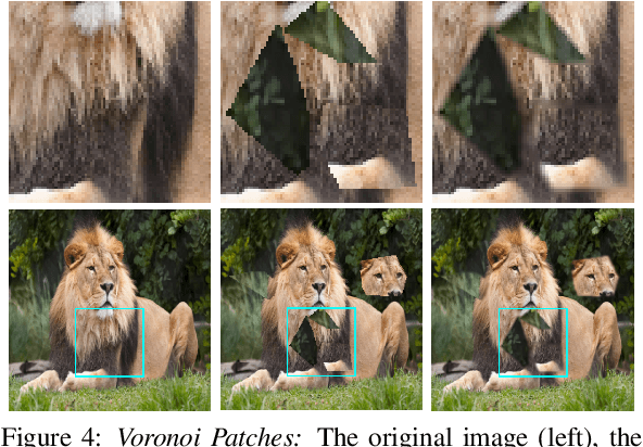 Figure 4 for VoronoiPatches: Evaluating A New Data Augmentation Method