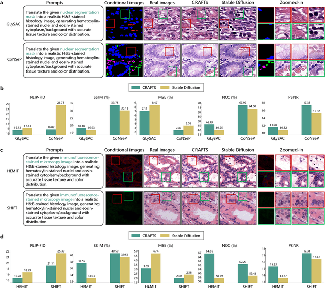 Figure 4 for A Semantically Enhanced Generative Foundation Model Improves Pathological Image Synthesis