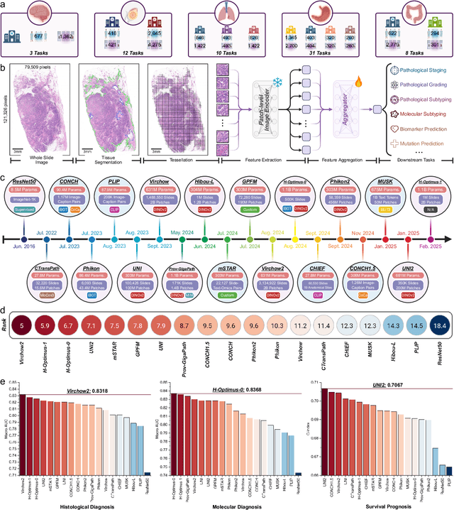 Figure 1 for PathBench: A comprehensive comparison benchmark for pathology foundation models towards precision oncology