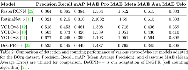 Figure 4 for BOrg: A Brain Organoid-Based Mitosis Dataset for Automatic Analysis of Brain Diseases