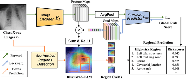 Figure 1 for Region-specific Risk Quantification for Interpretable Prognosis of COVID-19