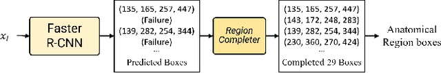 Figure 3 for Region-specific Risk Quantification for Interpretable Prognosis of COVID-19