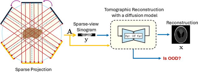Figure 1 for Exploring Out-of-distribution Detection for Sparse-view Computed Tomography with Diffusion Models