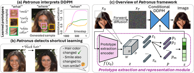 Figure 1 for Patronus: Bringing Transparency to Diffusion Models with Prototypes
