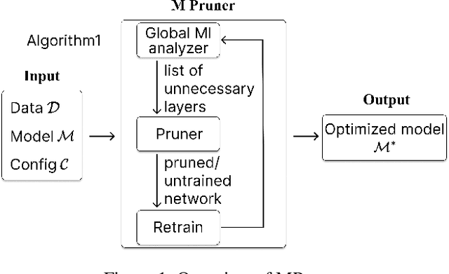 Figure 1 for MPruner: Optimizing Neural Network Size with CKA-Based Mutual Information Pruning