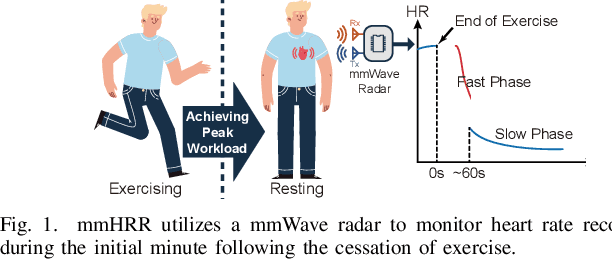 Figure 1 for mmHRR: Monitoring Heart Rate Recovery with Millimeter Wave Radar