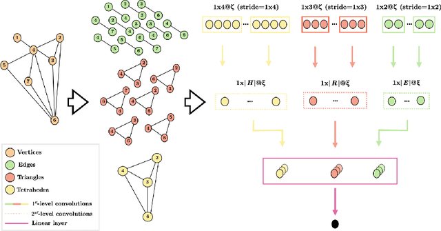 Figure 1 for Homological Convolutional Neural Networks