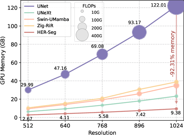 Figure 1 for HRMedSeg: Unlocking High-resolution Medical Image segmentation via Memory-efficient Attention Modeling