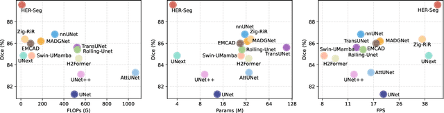 Figure 2 for HRMedSeg: Unlocking High-resolution Medical Image segmentation via Memory-efficient Attention Modeling