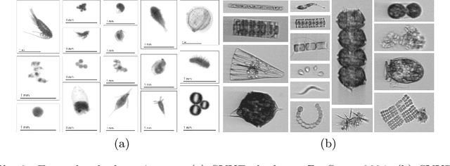 Figure 3 for Open-Set Plankton Recognition