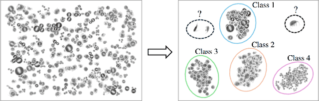 Figure 1 for Open-Set Plankton Recognition
