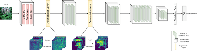 Figure 1 for CNN Feature Map Augmentation for Single-Source Domain Generalization