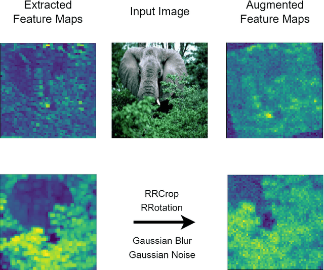 Figure 2 for CNN Feature Map Augmentation for Single-Source Domain Generalization