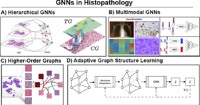 Figure 1 for Graph Neural Networks in Histopathology: Emerging Trends and Future Directions