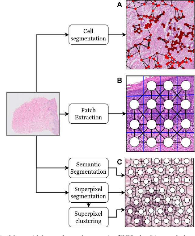 Figure 3 for Graph Neural Networks in Histopathology: Emerging Trends and Future Directions