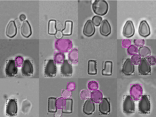 Figure 1 for An Instance Segmentation Dataset of Yeast Cells in Microstructures