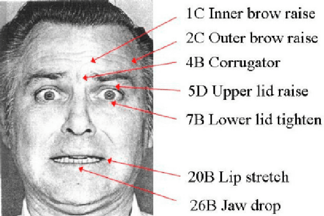 Figure 1 for Leveraging Previous Facial Action Units Knowledge for Emotion Recognition on Faces